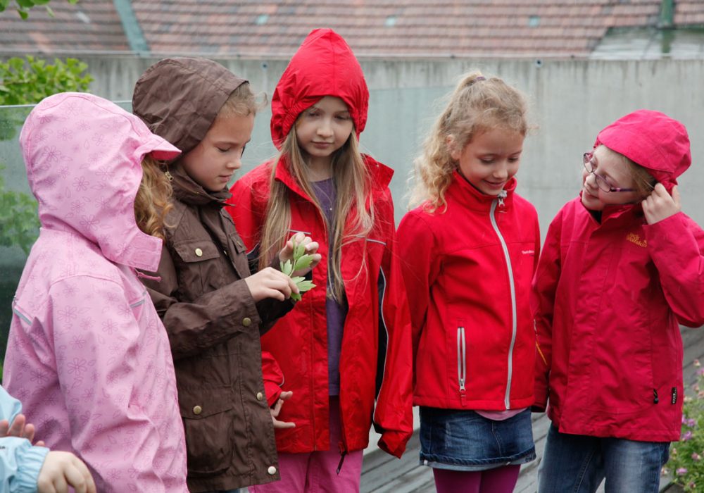 denkraumdonaustadt_heilkraeutergarten_regenjacke_kinder