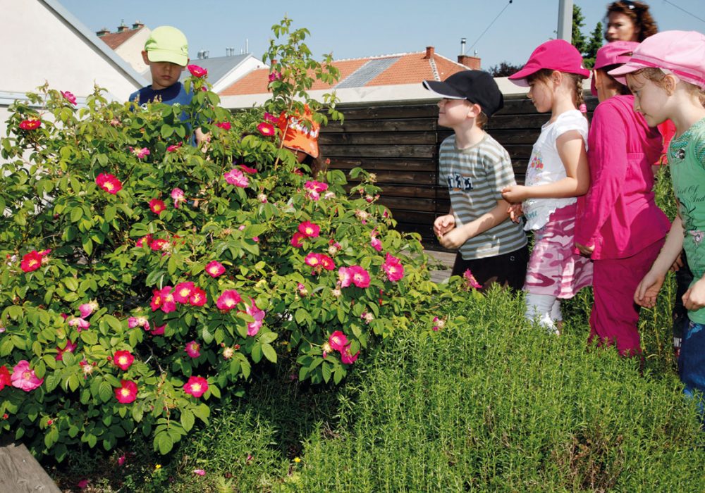 denkraumdonaustadt_heilkraueterwerkstatt_kinder